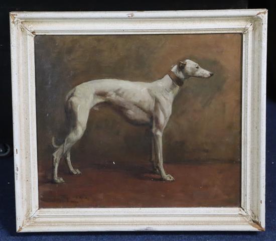 Heywood Hardy (1842-1933) Portrait of a champion greyhound 11.75 x 13.75in.